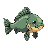River Carp