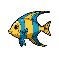 Reef Angelfish